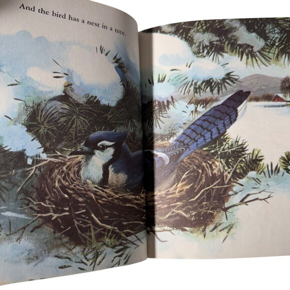 Where Is The Bear? 1st Ed A Betty Hubka Little Golden Book 1967 Golden Press LGB - Picture 7 of 16